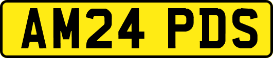 AM24PDS