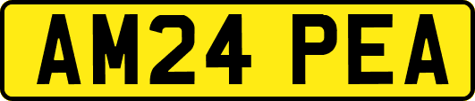 AM24PEA