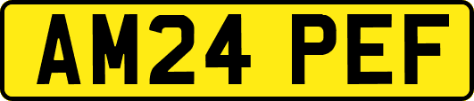 AM24PEF