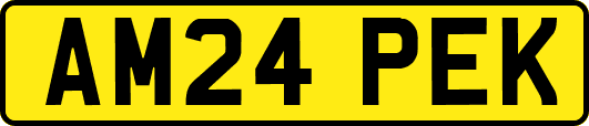 AM24PEK
