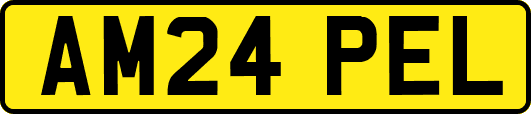 AM24PEL