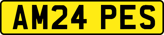 AM24PES