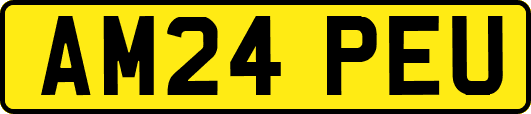 AM24PEU