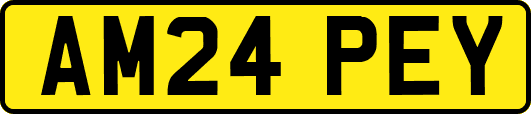 AM24PEY
