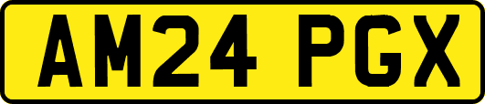 AM24PGX