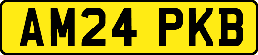 AM24PKB