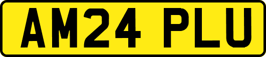 AM24PLU
