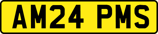 AM24PMS