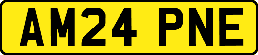 AM24PNE