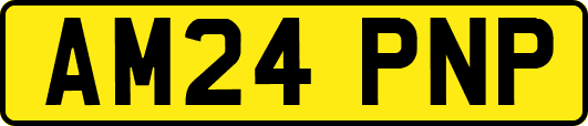 AM24PNP