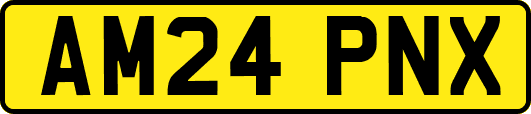AM24PNX