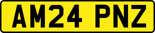 AM24PNZ