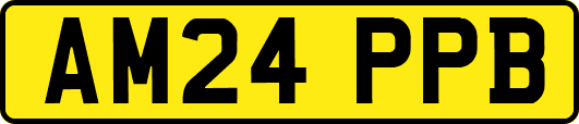 AM24PPB