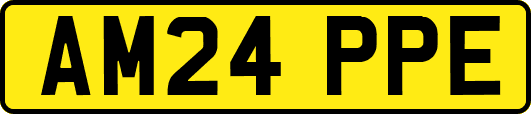 AM24PPE