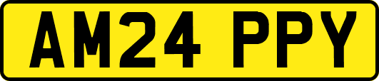 AM24PPY