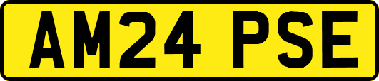 AM24PSE