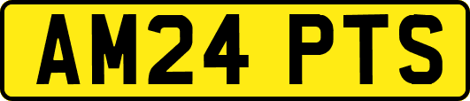AM24PTS