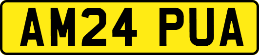 AM24PUA