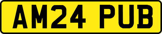 AM24PUB
