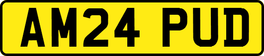 AM24PUD