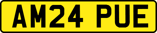 AM24PUE