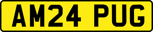 AM24PUG