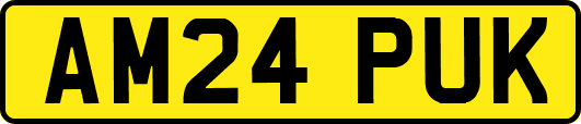 AM24PUK
