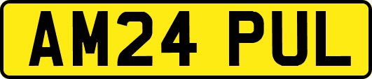 AM24PUL