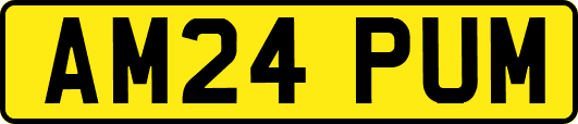 AM24PUM