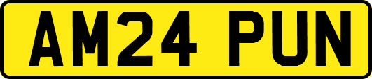 AM24PUN