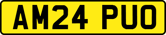 AM24PUO