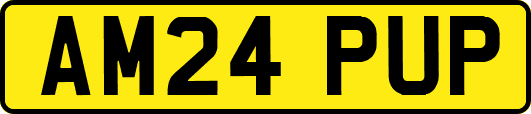 AM24PUP