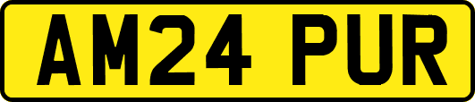 AM24PUR