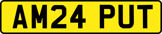 AM24PUT