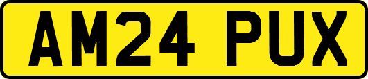 AM24PUX
