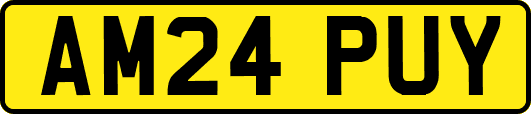 AM24PUY