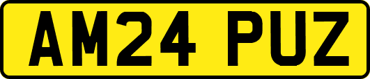 AM24PUZ