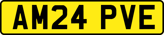 AM24PVE