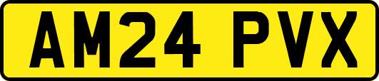 AM24PVX