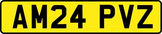 AM24PVZ