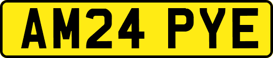 AM24PYE