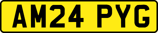 AM24PYG
