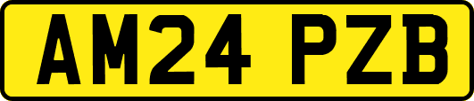 AM24PZB