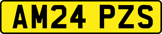 AM24PZS