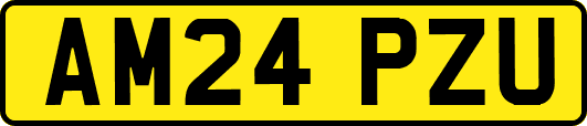 AM24PZU