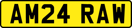 AM24RAW