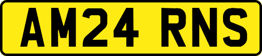 AM24RNS