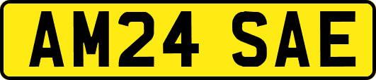 AM24SAE