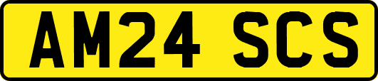 AM24SCS
