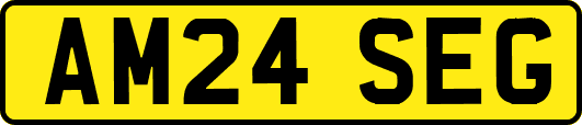 AM24SEG